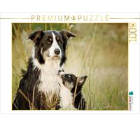 CALVENDO Puzzle Border Collies | 1000 pieces, finished size 25.2 × 18.9 in (64 ×