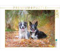 CALVENDO Puzzle Border Collies dans la forêt d'automne 1000 Pieces 64 x 48 cm from Barbara Homolka