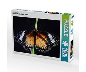CALVENDO Puzzle Bortenfalter (Cethosia biblis) 1000 Teile Puzzle quer 1000 Pieces 64 x 48 cm from Steffen Schellhorn