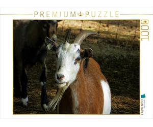 CALVENDO Puzzle Boucs effrontés 1000 Pieces 64 x 48 cm from Renate Bleicher