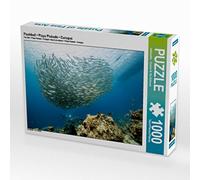 CALVENDO Puzzle Boule de Poisson - Playa Piskado - Curaçao 1000 Pieces 64 x 48 cm from NaturePicsFilms