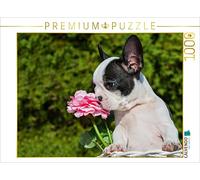 CALVENDO Puzzle Bouledogue français 1000 Pieces 64 x 48 cm from Sista-Tierfoto