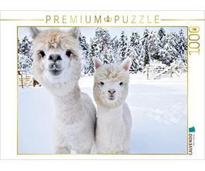 CALVENDO Puzzle Bourrasque de Neige des alpagas 1000 Pieces 64 x 48 cm from Heidi Rentschler