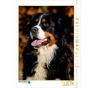CALVENDO Puzzle Bouvier Bernois 2017 1000 Pieces 48 x 64 cm from Sista-Tierfoto