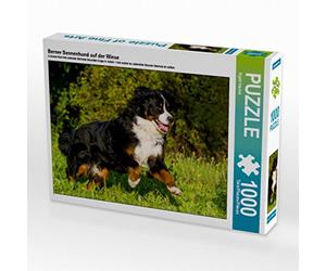 CALVENDO Puzzle Bouvier Bernois dans la Prairie 1000 Pieces 64 x 48 cm from Sista-Tierfoto