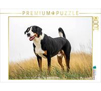 CALVENDO Puzzle Bouvier d'Appenzell mâle 1000 Pieces 64 x 48 cm from SchnelleWelten