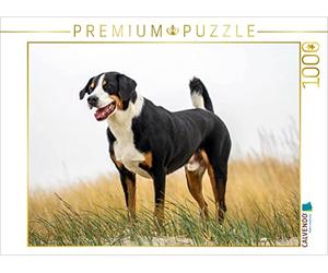 CALVENDO Puzzle Bouvier d'Appenzell mâle 1000 Pieces 64 x 48 cm from SchnelleWelten