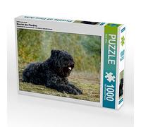 CALVENDO Puzzle Bouvier des Flandres 1000 Pieces 64 x 48 cm from Susan Milau