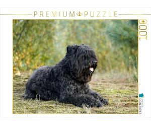 CALVENDO Puzzle Bouvier des Flandres 1000 Pieces 64 x 48 cm from Susan Milau