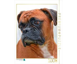 CALVENDO Puzzle Boxer Allemand 1000 Pieces 48 x 64 cm from Peter Roder