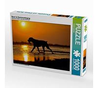 CALVENDO Puzzle Boxer au Coucher du Soleil 1000 Pieces 64 x 48 cm from Yvonne Janetzek