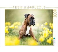 CALVENDO Puzzle Boxer dans Le ruée des Fleurs | 1000 pièces Taille de la Pose 64 x 48 cm Puzzle Photo pour des Heures heureuses