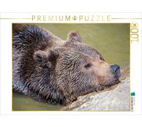 CALVENDO Puzzle Brown Bear | 1000 pieces, finished size 25.2 × 18.9 in (64 × 48