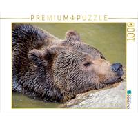 CALVENDO Puzzle Braunbär 1000 Teile Puzzle quer | 1000 Teile Lege-Größe 64x48cm