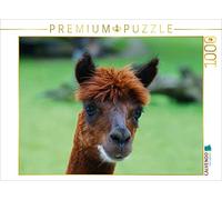 CALVENDO Puzzle Braunes Alpaka 1000 Teile Puzzle quer 1000 Pieces 64 x 48 cm from Kattobello