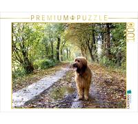 CALVENDO Puzzle Briard auf Herbstwanderung 1000 Teile Puzzle quer | 1000 Teile L