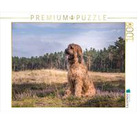 CALVENDO Puzzle Briard - Berger de Brie 1000 Pieces 64 x 48 cm from Sonja Teßen