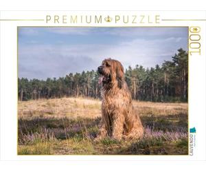 CALVENDO Puzzle Briard - Berger de Brie 1000 Pieces 64 x 48 cm from Sonja Teßen