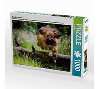 CALVENDO Puzzle Briard en Action 1000 Pieces 64 x 48 cm from Sonja Teßen
