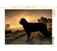 CALVENDO Puzzle Briard im Sonnenaufgang 1000 Teile Puzzle quer | 1000 Teile Lege