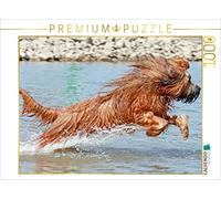 CALVENDO Puzzle Briard Plein de Joie de Vivre en Jouant 1000 Pieces 64 x 48 cm from Barbara Mielewczyk