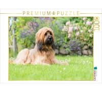 CALVENDO Puzzle Portrait de Briard 1000 Pieces 64 x 48 cm from Sonja Teßen
