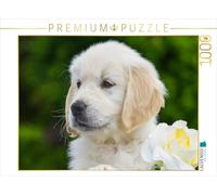 CALVENDO Puzzle Briseur de cœur 1000 Pieces 64 x 48 cm from Sista-Tierfoto