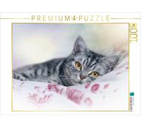 CALVENDO Puzzle Britisch Kurzhaar - Katzen zum Verlieben 1000 Teile Puzzle quer