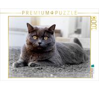 CALVENDO Puzzle Britischkurzhaar-Katze. Ein Motiv aus dem Kalender`"Graue Engel"