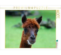 CALVENDO Puzzle Brown alpaca | 1000 pieces, finished size 25.2 × 18.9 in (64 × 4