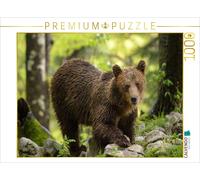 CALVENDO Puzzle Ours Brun - Slovénie 1000 Pieces 64 x 48 cm from Christian Dorn