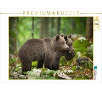 CALVENDO Puzzle Ours Bruns en Slovénie 1000 Pieces 64 x 48 cm from Johann Schörkhuber