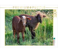 CALVENDO Puzzle Brown sheep | 1000 pieces, finished size 25.2 × 18.9 in (64 × 48