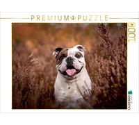 CALVENDO Puzzle Bruce 1000 Pieces 64 x 48 cm from Sabrina Wobith