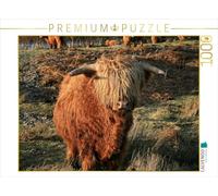CALVENDO Puzzle Bœuf des Highlands écossais 1000 Pieces 64 x 48 cm from Martina Cross
