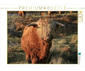 CALVENDO Puzzle Bœuf des Highlands écossais 1000 Pieces 64 x 48 cm from Martina Cross