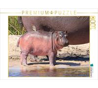 CALVENDO Puzzle Buffalo Core Area, Caprivi, Namibia | 1000 Teile Lege-Größe 64x4