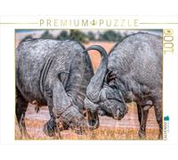CALVENDO Puzzle Buffalo d'eau 1000 Pieces 64 x 48 cm from Peter Roder