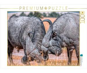 CALVENDO Puzzle Buffalo d'eau 1000 Pieces 64 x 48 cm from Peter Roder