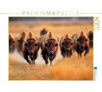 CALVENDO Puzzle Buffle | 1000 pièces de Taille de la Ponte 64 x 48 cm Puzzle Photo pour des Heures heureuses