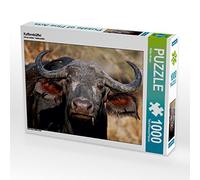 CALVENDO Puzzle Buffle de Kaffir 1000 Pieces 64 x 48 cm from Wibke Woyke