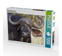 CALVENDO Puzzle Buffle d'eau Kenya 1000 pièces Taille de la Pose 64 x 48 cm Photo Puzzle Image par Michael Herzog