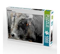 CALVENDO Puzzle Bull Aubrac 1000 Pieces 64 x 48 cm from Patrice Thebault