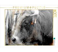 CALVENDO Puzzle Bull Aubrac | 1000 Teile Lege-Größe 64 × 48 cm Foto-Puzzle für g