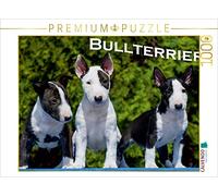 CALVENDO Puzzle Bull Terrier 1000 Pieces 64 x 48 cm from Sista-Tierfoto