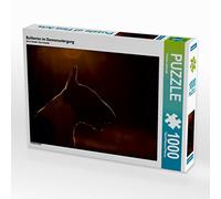 CALVENDO Puzzle Bull Terrier 1000 Pieces 64 x 48 cm from Yvonne Janetzek