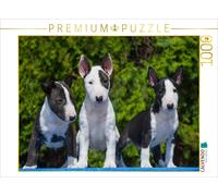 CALVENDO Puzzle Bull Terrier 1000 Pieces 64 x 48 cm from Sista-Tierfoto