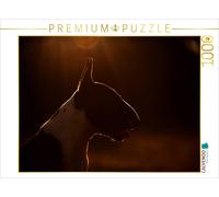 CALVENDO Puzzle Bullterrier 1000 Teile Puzzle quer | 1000 Teile Lege-Größe 64x48