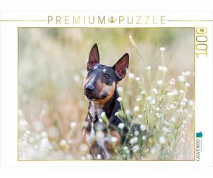 CALVENDO Puzzle Bull Terrier Assis dans des Fleurs d'été 1000 Pieces 64 x 48 cm from Yvonne Janetzek