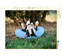 CALVENDO Puzzle Chiot Bull Terrier 1000 Pieces 64 x 48 cm from Yvonne Janetzek
